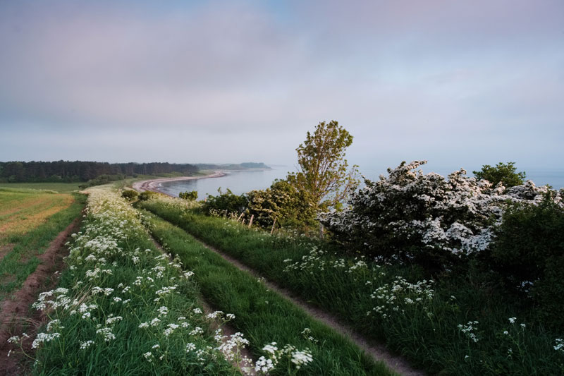 Ryevej, Sejerø